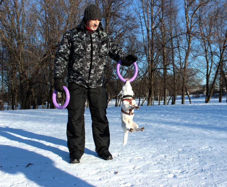 Сниму квартиру в черепаново недорого с мебелью